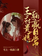 王府贵妻 子安